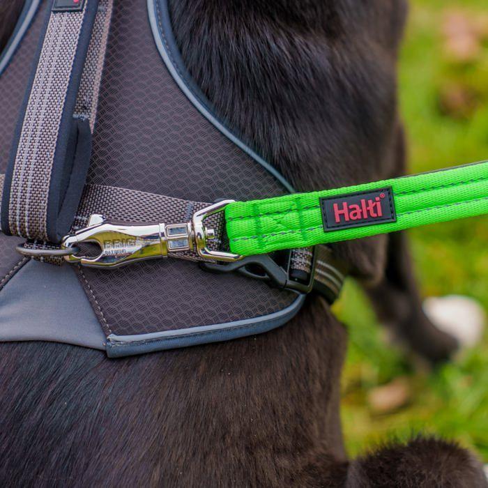 Laisse de sécurité pour chien - Halti - Halti BRIG - 1,5 m - Vert Fluo - Clip ultra-solide - Poignées rembourrées