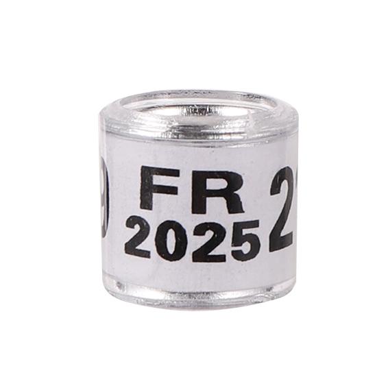 Inel de Picior Porumbel Multicolor 2025/2026 cu Cuvânt Inel de Picior Inel pentru Pasăre Durabil de Înaltă Calitate Inel de Marcare Pasăre Consumabile pentru Păsări 50 Buc