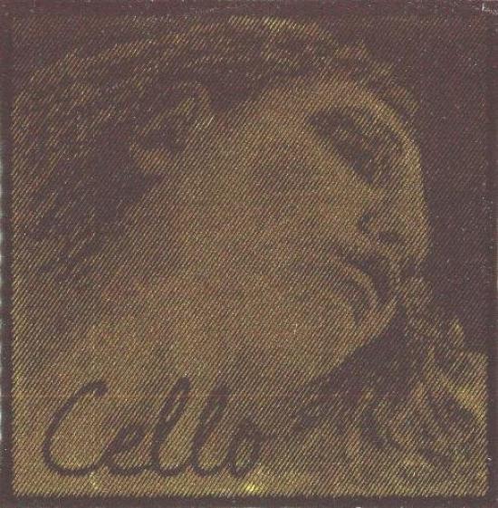 

EVAH PIRAZZI GOLD D-string cello strings