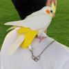 Bite Resistant Anti-flying Training Leash Lightweight Bird Foot Chain Pet Bird Harness  Walking