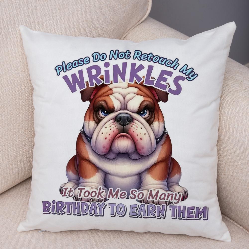 Smiling Monkey Pillowcase Double Print Do Not Disturb Sloth Cushion Cover Soft Plush Sassy Duck Pillowcase for Sofa Home Car