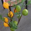 Green Plants Artificial Lemon Branch Plastic Fake Plants  Restaurant Hotel Decoration