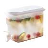 Cold Kettle with Faucet In Refrigerator Water Jugs Fruit Teapot Lemonade Bucket 2.8L Large Capacity Iced Beverage Dispensers