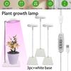 LED extendable plant light growth light angel ring succulent plant light full spectrum flower timer supplement light indoor USB