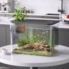 Small Fish   Plastic Clr   Landscape Desktop Aquarium for Goldfish Shrimp Betta Fish