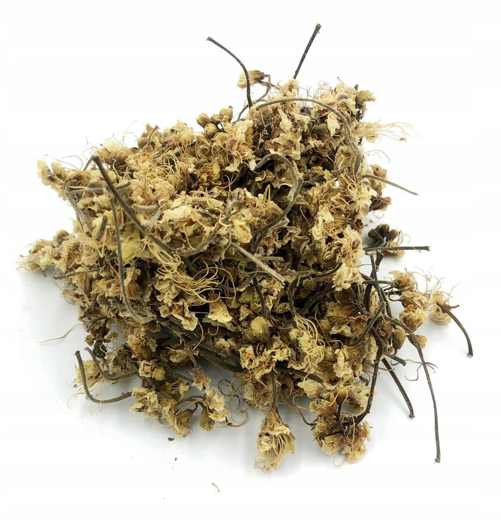 Chestnut Chestnut Flower 50 G 100% Natural
