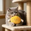 Jouet pour animal de compagnie avec papier sonore intégré Design de jouet Peluche douce Résistance à la morsure Jouet de dentition Forme de fruit mignonne Jouet à mâcher interactif pour chats et chiens