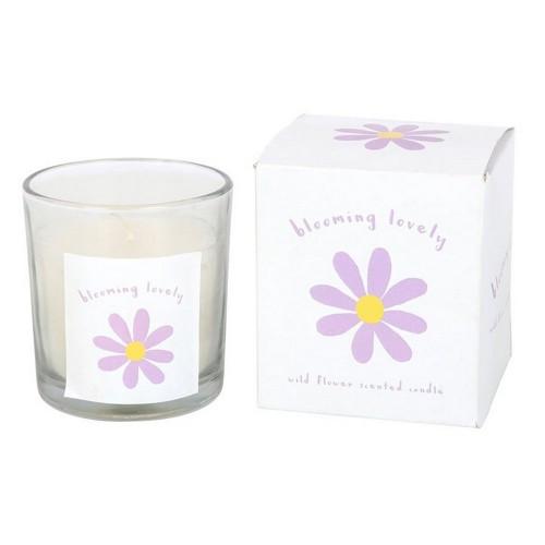 Something Different Blooming Lovely Wildflower Daisy Scented Candle