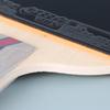 DHS 3-Star F3008 Straight Handle Table Tennis Racket