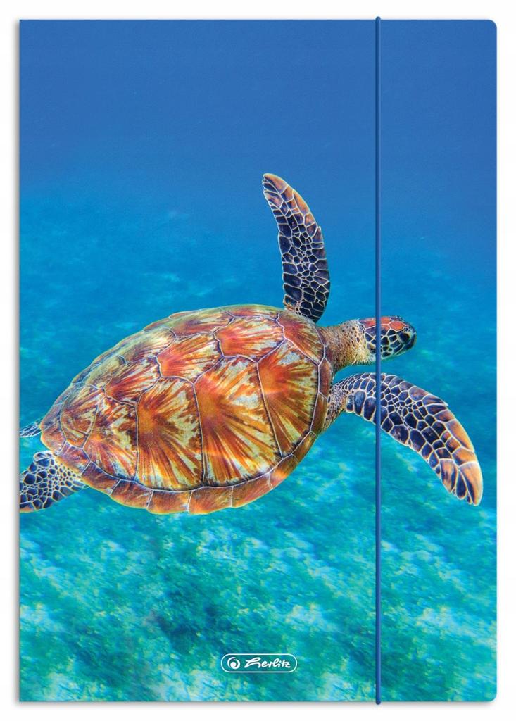 TECZKA RYS.A4 Z GUM.ANIMALS  300023013 A'10