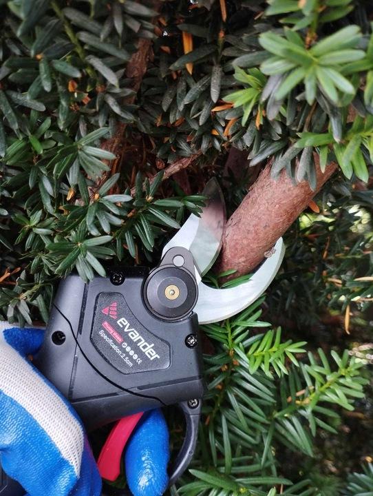 Sekator Akumulatorowy Nożyce Elektryczne + Piła Gałęziowa Gałęziówka Zestaw