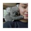 Koala - The Koaly Emotional Healing On Demand, Koaly Plush for Emotional Support, Mimics