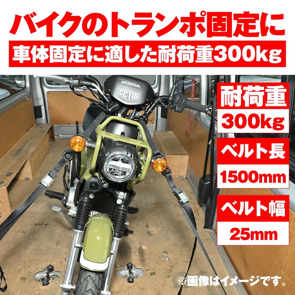 Daytona Motorcycle Strap Set with Cam 300kg Load 25mm Black Tie-Down (2 straps) Buckle, Capacity, Width,