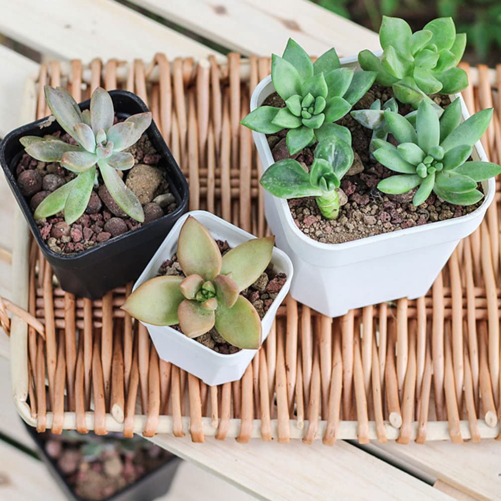 OUNONA Stylish Black Plastic Plant Set with for Succulents and Gardening Supplies Small, Mini, Pots, 15-Piece Holes, Square, Cacti, Lightweight,