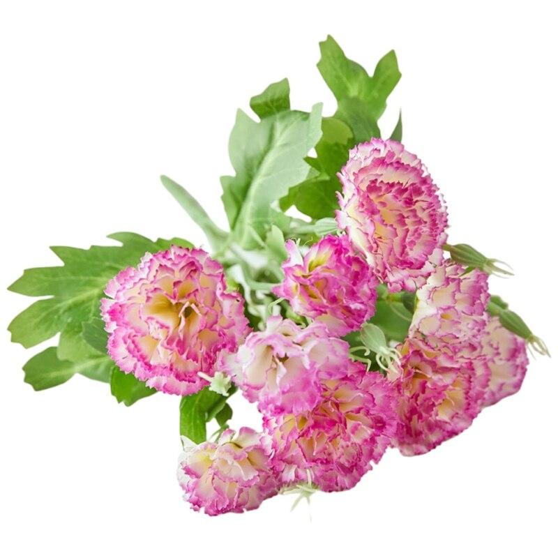 Искусственные цветы Пластик Гвоздика Цветы Подделка Гвоздика Букет