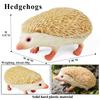 Oenux Simulation Wild Jungle Forest Animals Hedgehog Model Action Figures Cake Topper Party Favor Cute Education Kid Toy Gift