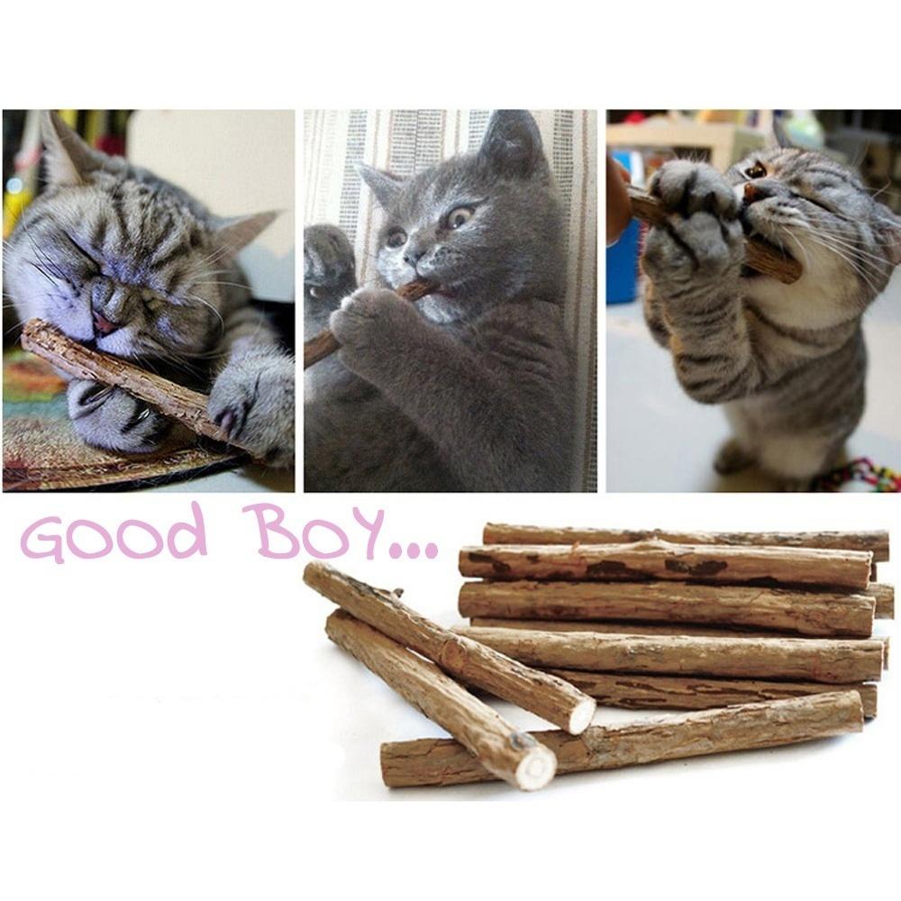 5/10pcs Catnip Toys, Cat Chew Sticks, Cat Chew Sticks, Cat Teething Toys, Natural Wood Sticks, Dental Catnip Toys
