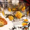 RetroStory Thorns Rose Die-cut Floral Washi Tape - 6 Styles for DIY Journals