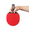Deli Angnett F2321 1-Star Table Tennis Racket