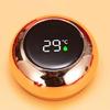 Daily Drink Mini Tumblers with Temperature Display, Stainless Steel Ceramic Thermal Cup for Study Desk Home Office Beverage Time