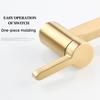 Brass Double Switch Basin Faucet Kitchen In-Wall Foldable Single Cold Tap Mop Sink Extension Pot Filler Faucet Gold Black Chrome