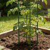 Tomato Stakes and Supports 36-piece Expandable Climbing Connector Clips Trellis Sticks Poles Tomato Support for Gardening