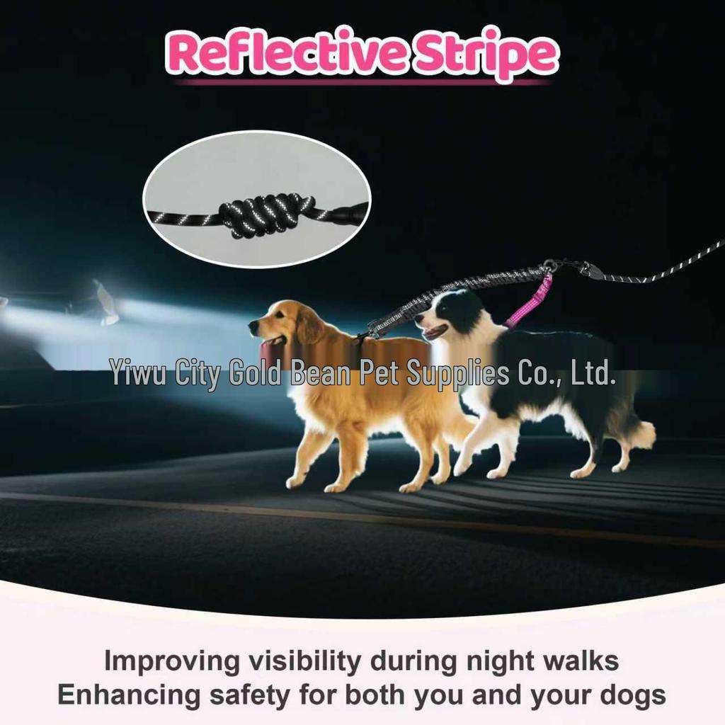 Automatic Retractable No-Choke Dog Leash for Walking Two Dogs