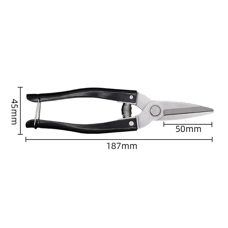 Straight Head Stainless Steel Household Gardening Flowers Branches Pruning Shear Fruit Picking Tools Garden Scissors with Spring