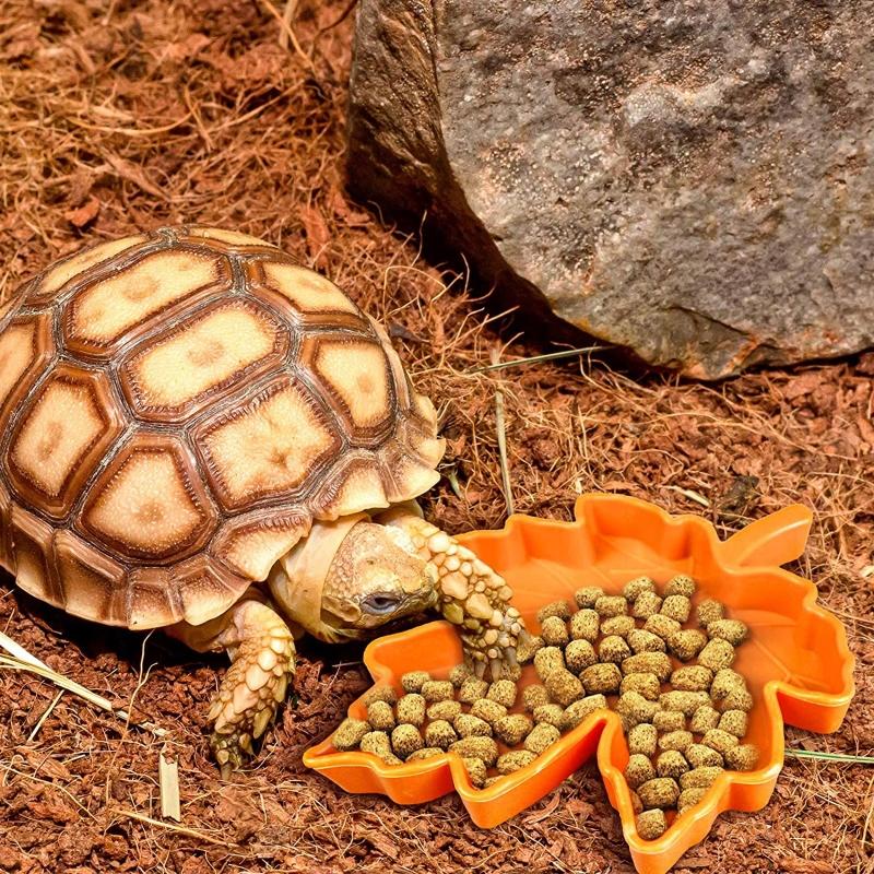 Reptile Water Food Bowl Plastic Pet Bowls Small Reptile Mealworms Dish for Lizard Bearded Dragon Spider Cricket Tortoise