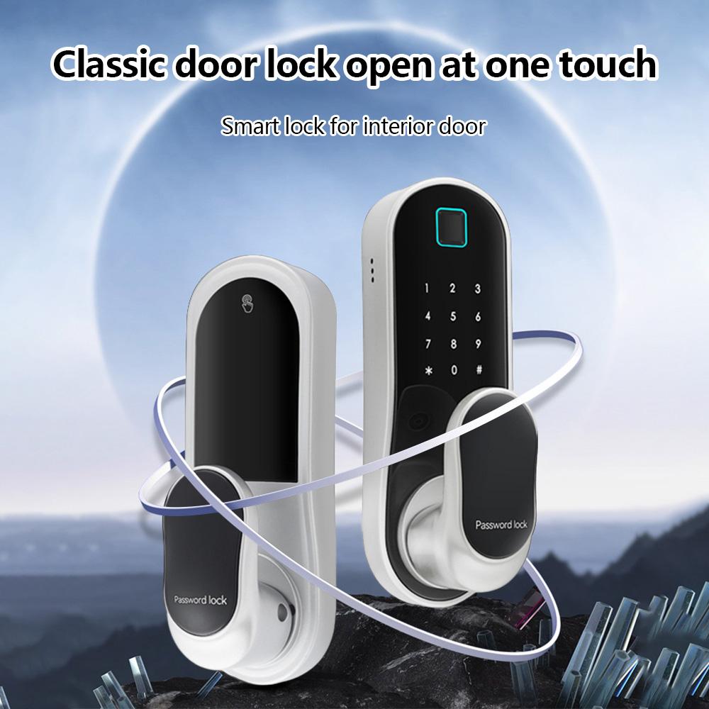 Smart Door Lock Keyless Entry Door Lock Handle with 2 Cards and 2 Keys Biometric Door Lock App Remote Operation WiFi