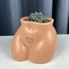 Art Body Flower Pot Succulent Pot Ceramic Planter Home Decor Indoor Decoration Desktop Ornaments Bonsai Plant Pot