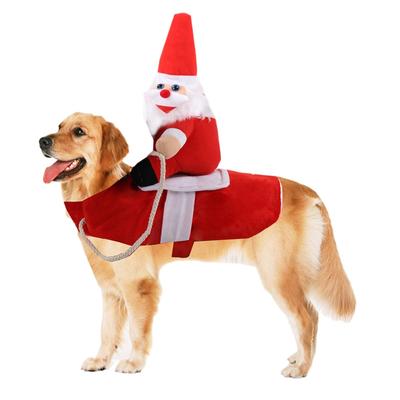 Ropa y calzado – Conjuntos para perros
