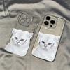 Serious face kitten applies to iPhone17promax Apple 16 transparent cat mobile phone case 14/13 fine hole 15