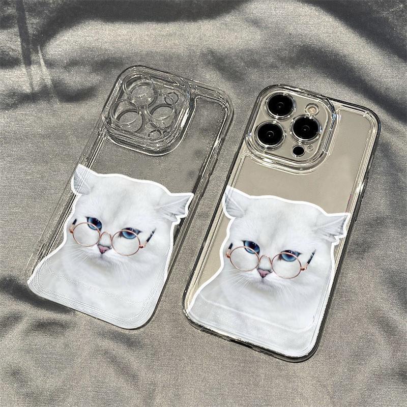 Serious face kitten applies to iPhone17promax Apple 16 transparent cat mobile phone case 14/13 fine hole 15