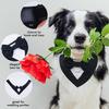 Elegant Cat Wedding Collar with Bow Tie Pet Puppy Collars Photograph Props