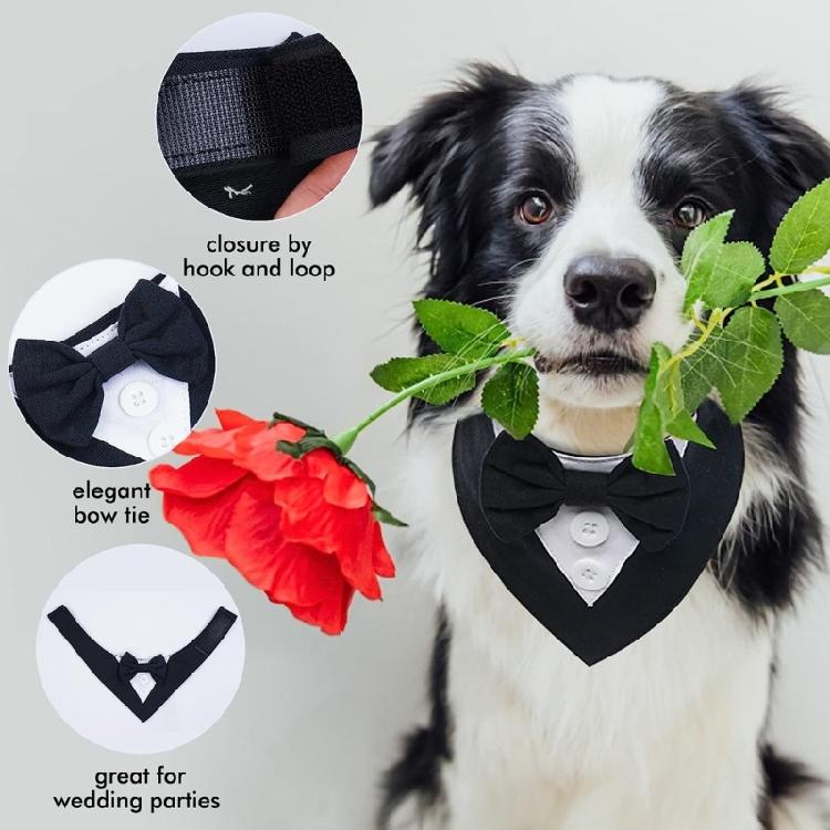 Elegant Cat Wedding Collar with Bow Tie Pet Puppy Collars Photograph Props