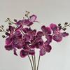 Moisturizing Phalaenopsis Vanda Orchid for Wedding and Home Decor