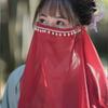 Ancient Style Hanfu Face Veil Mesh Face Covering Gauze Chinese Hanfu Accessories  Classical Dance