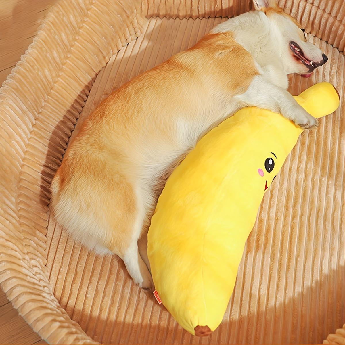 

Прочные пищащие игрушки для собак — плюшевые игрушки для собак для прорезывания зубов и жевания, со встроенным звуком, легко чистящиеся для маленьких, средних и крупных собак. 24.8*7.09inch