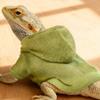 Pet Reptile Hoodie T-Shirt Lizard Walks Outdoor Costume Lightweight Apparel Universal Fit