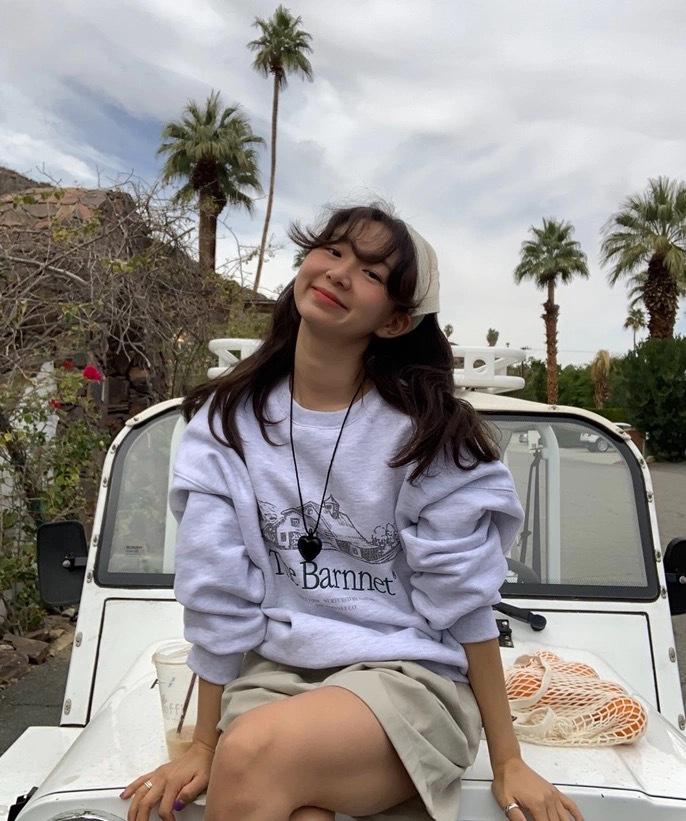 

Корейская мода: Свободная повседневная толстовка Dongdaemun Retro Ins Style для женщин - Коллекция Осень/Зима One Size