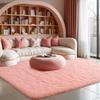 Pink Plush Bedroom Carpet Soft Fluffy Area Rug for Living Room Dorm and Bedside Home Decor Floor Mat
