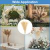 4 Stück 45cm Künstliches Pampasgras Fake Pflanze Schilf Falsches Pampasgras DIY Strauß für Hochzeit Party Haus Wohnzimmer Dekoration