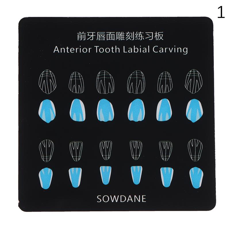 

3Sizes Стоматологический композитный шаблон для пломбирования зубов Доска для изучения морфологии зубов Анатомическая модель Доска для изучения