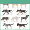 Conjunto de Modelo de Pvc de Animais Selvagens para Crianças com Figuras Realistas de Lobo e Husky para Brincadeira Educativa