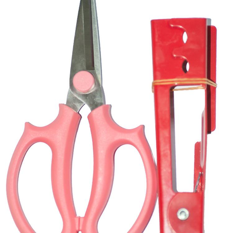 Rose Thorn Remover Kit: Floral Tools & Scissors for Safe Rose Handling