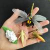 Children Simulation Biology Model Toy Animal Plant Life Growth Cycle Montessori Children Toys Set Teaching Aids Educational Toys
