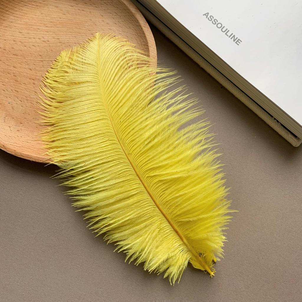 Color ostrich hair 15-20CM ostrich feather Internet celebrity photo background wall feather cake flower arrangement DIY decoration