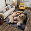 Golden Retrievers Relaxing Design Suitable As a Non-slip Mat for the Living Room or Bedroom Sofa