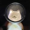 Cute Pet Spaceman Night Light Home Decoration Kids Gift Bedroom Ornaments